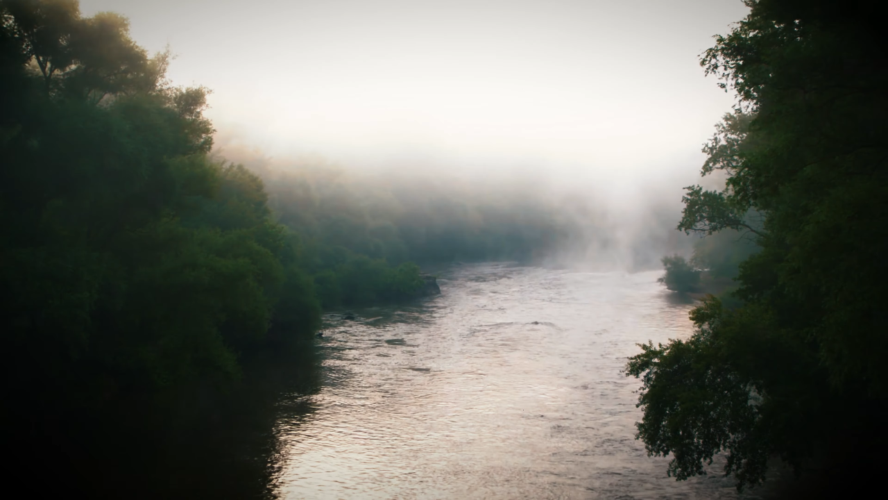 Misty river and forest at dawn